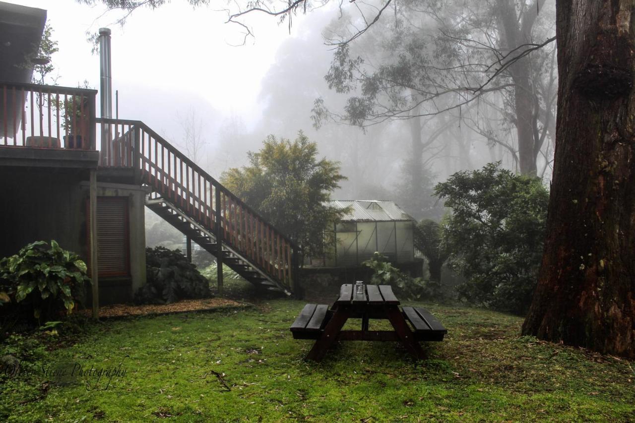 לינה וארוחת בוקר Mount Tomah Tomah Retreat - Studio Chill With Fireplace And Clawfoot Bath מראה חיצוני תמונה